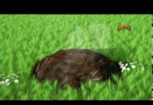 ‘Enough BS’ says Metric Gaming with its new advertising campaign