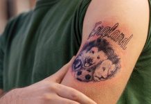 GambleAware and Wright-Phillips promote responsible gambling ahead of the World Cup