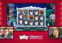 Beyond the Reels: Down the rabbit hole with Armadillo Studios