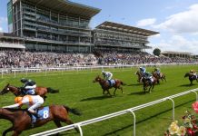 General Election could stall horse racing levy reform talks Horse race