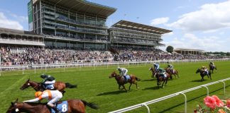 General Election could stall horse racing levy reform talks Horse race