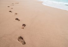 Digital Footprints recruit “biggest marketing minds” for new webinar series Footprints in sand
