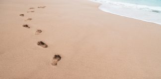 Digital Footprints recruit “biggest marketing minds” for new webinar series Footprints in sand