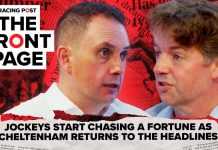 British horse racing needs ‘friends in corridors of power’ following BHA appointment