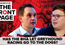 Welsh greyhound racing ban a ‘wake-up call’ for horse racing