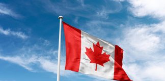 Judge bans ‘unlawful’ gambling site Bodog from operating in Manitoba after ‘misleading customers’ claim