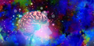 Psychedelic treatment for gambling addiction gaining momentum as highs aim to remove betting lows