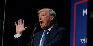 Dina Titus moves to overturn Donald Trump’s gambling tax changes