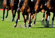 Horse racing is a “nuanced product” and should be treated differently amid strikes