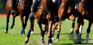 Horse racing is a “nuanced product” and should be treated differently amid strikes