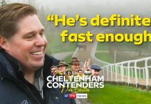 Skelton details tactical Cheltenham approach